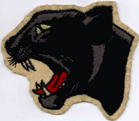 Panther Patches