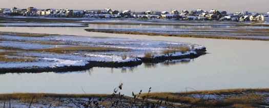 photograph of winter on Scorton Marsh behind our home